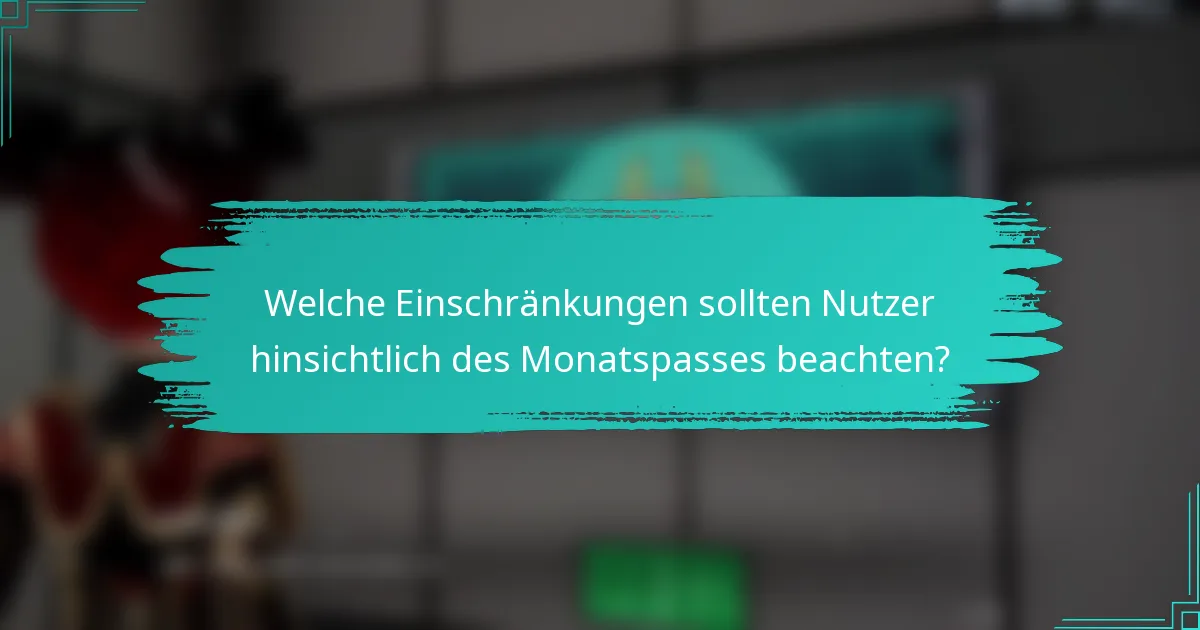 Welche Einschränkungen sollten Nutzer hinsichtlich des Monatspasses beachten?